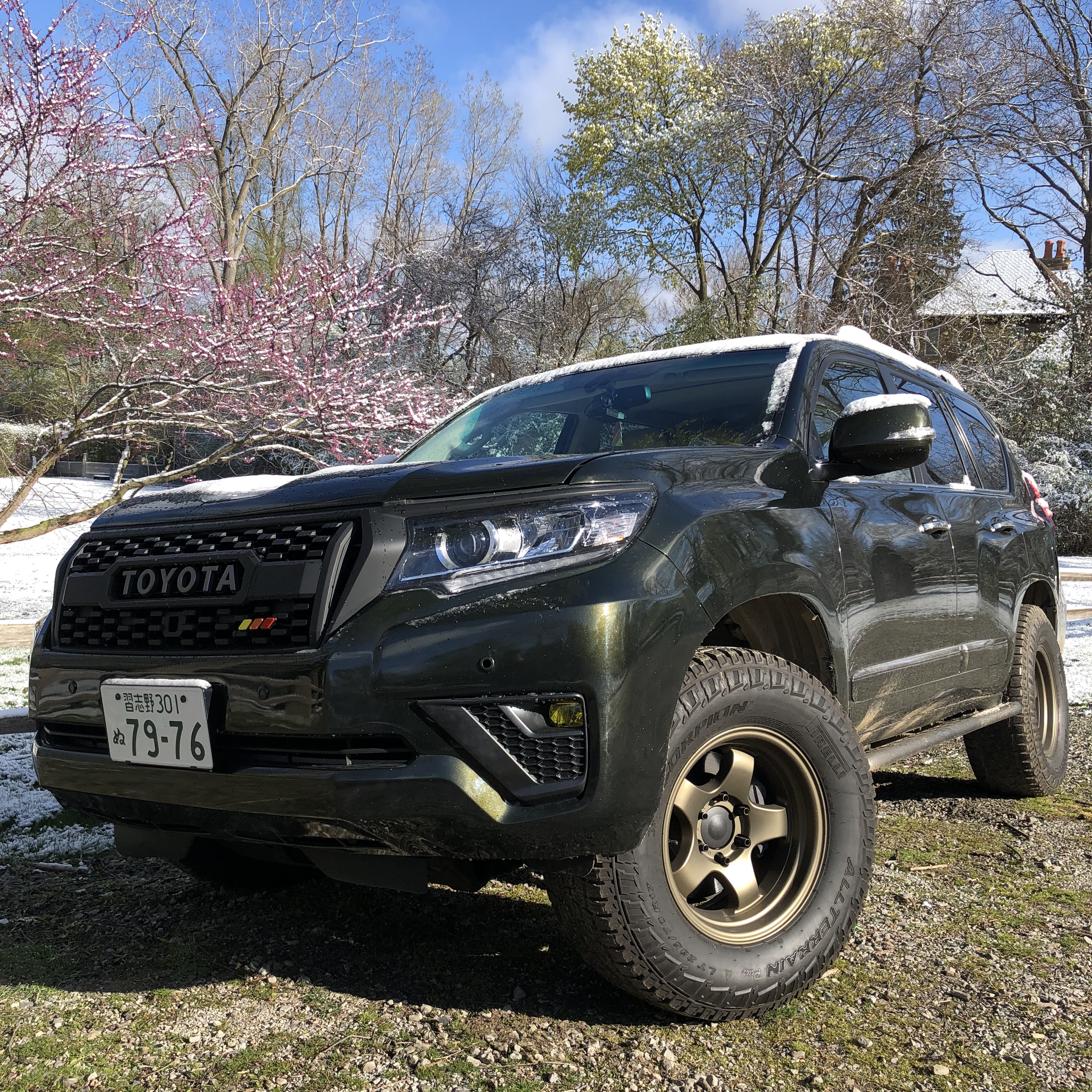 2018-2023 Toyota Land Cruiser Prado TRD Style Grille