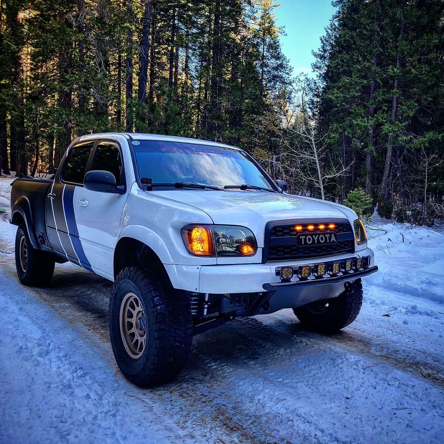 2003-2006 Toyota Tundra TRD Style Grille